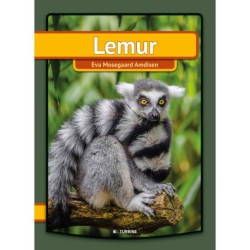 Lemur
