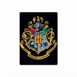 Magnet Metal - Harry Potter (Hogwarts)