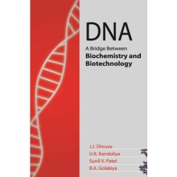 DNA: A Bridge Between Biochemistry and Biotechnology