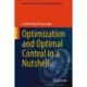 Optimization and Optimal Control in a Nutshell