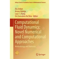 Computational Fluid Dynamics: Novel Numerical and Computational Approaches: Methodology and Numerics