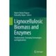 Lignocellulosic Biomass and Enzymes: Fundamentals, Emerging Technologies and Applications