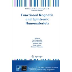 Functional Magnetic and Spintronic Nanomaterials