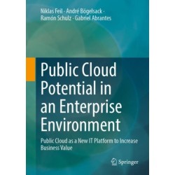 Public Cloud Potential in an Enterprise Environment: Public Cloud as a New IT Platform to Increase Business Value