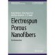 Electrospun Porous Nanofibers: An Introduction