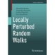 Locally Perturbed Random Walks