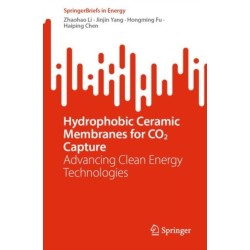 Hydrophobic Ceramic Membranes for CO2 Capture: Advancing Clean Energy Technologies