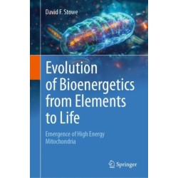 Evolution of Bioenergetics from Elements to Life: Emergence of High Energy Mitochondria