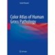 Color Atlas of Human Gross and Microscopic Pathology
