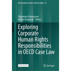 Exploring Corporate Human Rights Responsibilities in OECD Case Law