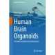 Human Brain Organoids: Scientific and Ethical Considerations