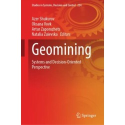 Geomining: Systems and Decision-Oriented Perspective
