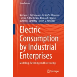 Electric Consumption by Industrial Enterprises: Modeling, Rationing and Forecasting