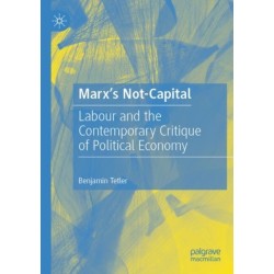 Marx’s Not-Capital: Labour and the Contemporary Critique of Political Economy