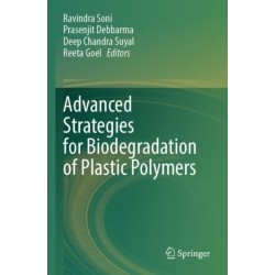 Advanced Strategies for Biodegradation of Plastic Polymers