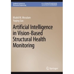 Artificial Intelligence in Vision-Based Structural Health Monitoring