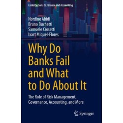 Why Do Banks Fail and What to Do About It: The Role of Risk Management, Governance, Accounting, and More