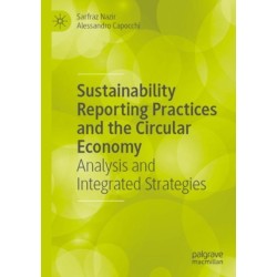Sustainability Reporting Practices and the Circular Economy: Analysis and Integrated Strategies