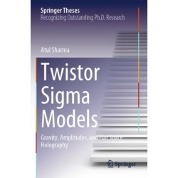 Twistor Sigma Models: Gravity, Amplitudes, and Flat Space Holography