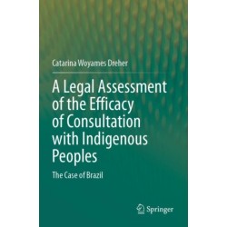 A Legal Assessment of the Efficacy of Consultation with Indigenous Peoples: The Case of Brazil