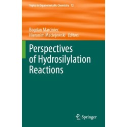 Perspectives of Hydrosilylation Reactions