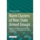 Norm Clusters of Non-State Armed Groups: Mapping and Understanding the Limits of Warfare as  Understood by Non-State Armed Groups