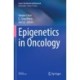 Epigenetics in Oncology