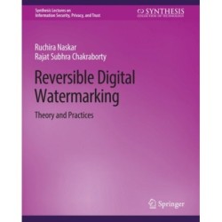 Reversible Digital Watermarking: Theory and Practices