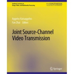 Joint Source-Channel Video Transmission