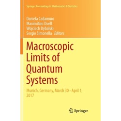 Macroscopic Limits of Quantum Systems: Munich, Germany, March 30 - April 1, 2017