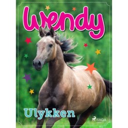 Wendy – Ulykken