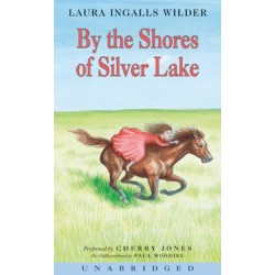 By the Shores of Silver Lake