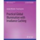 Practical Global Illumination with Irradiance Caching