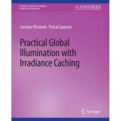 Practical Global Illumination with Irradiance Caching