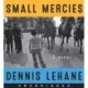 Small Mercies: A Novel