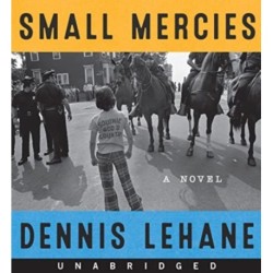 Small Mercies: A Novel