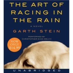 The Art of Racing in the Rain