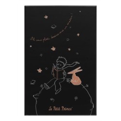 Moleskine Ltd. Ed. Le Petit Prince 2023 Large Ruled Hardcover Notebook in Gift Box