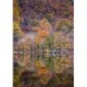 Reflections Upon Autumn 40 Piece Puzzle