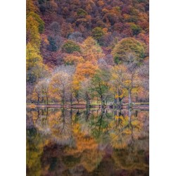 Reflections Upon Autumn 40 Piece Puzzle