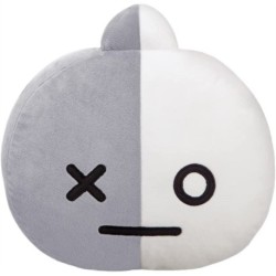 BT21 VAN Cushion