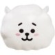 BT21 RJ Cushion