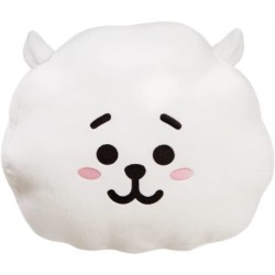 BT21 RJ Cushion