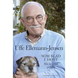 Som blad i høst - Mit liv efter politik