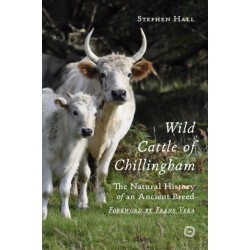 Wild Cattle of Chillingham: The Natural History of an Ancient Breed