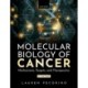 Molecular Biology of Cancer: Mechanisms, Targets, and Therapeutics