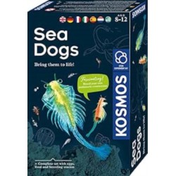 MBE Sea Dogs