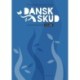 DanskSkud 4. Lærervejledning