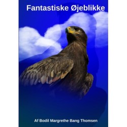 Fantastiske Øjeblikke