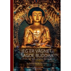Jeg er vågnet, sagde Buddha: - en introduktion til buddhismen som praksisvej